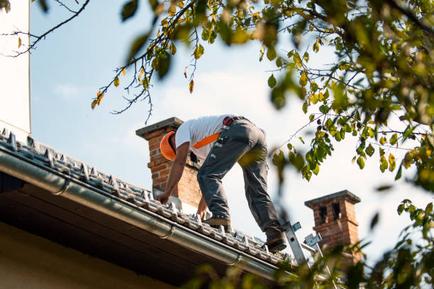 Best Roof Ventilation Installation  in Hayden, ID