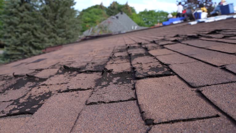 Best Roofing for New Construction  in Hayden, ID
