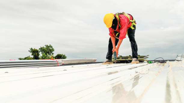 Best Roof Inspection  in Hayden, ID