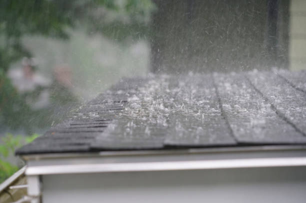 Best Sheet Metal Roofing  in Hayden, ID